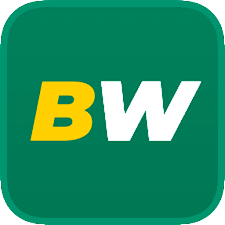 Casino Betwinner Your Ultimate Guide to Online Gaming