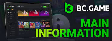 Exploring the BCstavka APK Your Gateway to Online Betting